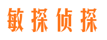 西华市调查公司